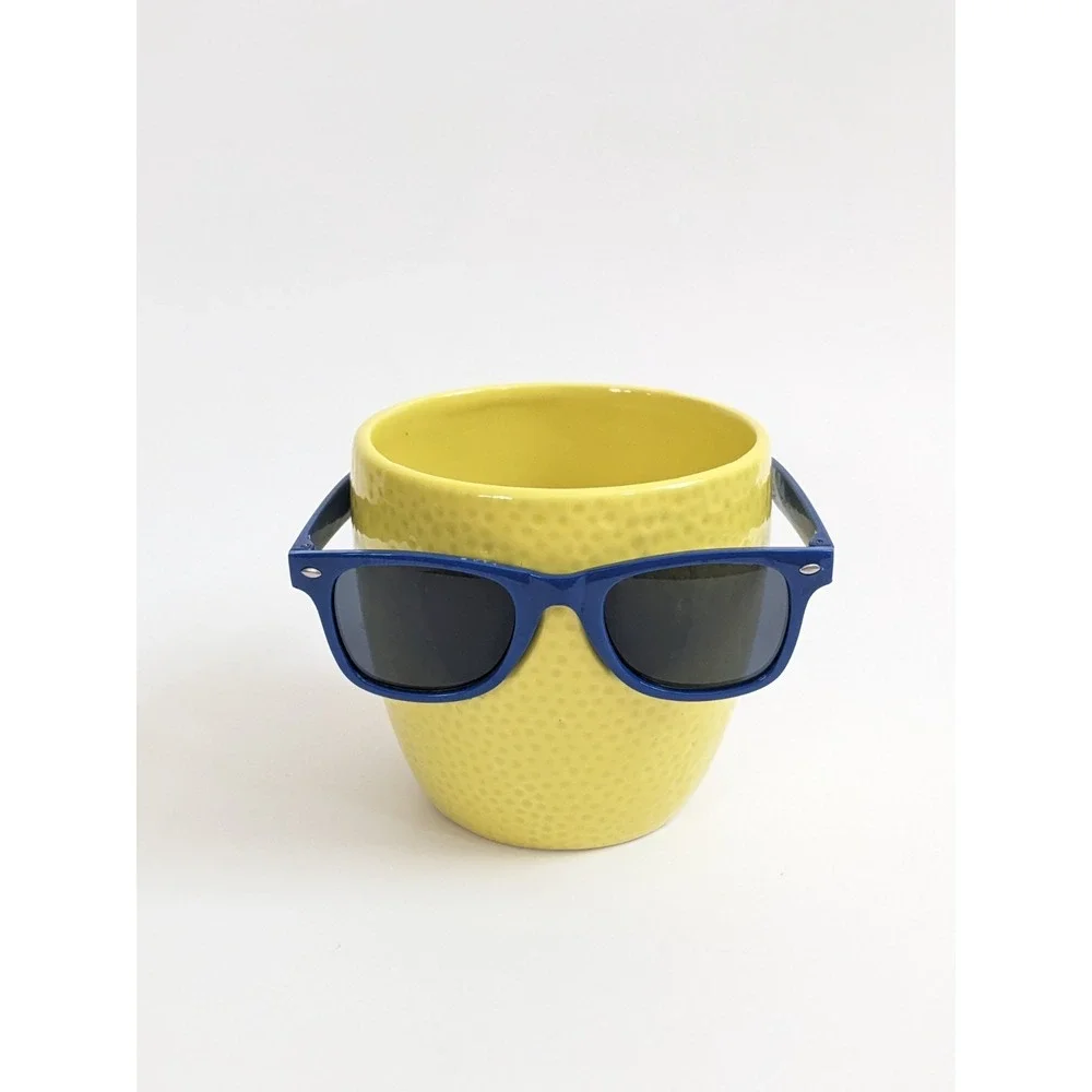 Trader Joes Cool Fruit Ceramic Novelty Planter Lime Sunglasses PLANT NOT INCLUD